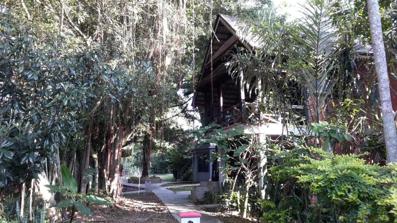 Liberta Homestay 툭툭 외부 사진